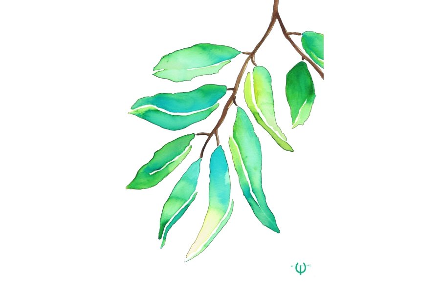 Gum Leaf Branch Digital Print