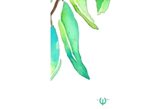 Gum Leaf Branch Digital Print