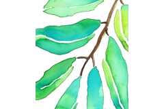 Gum Leaf Branch Digital Print