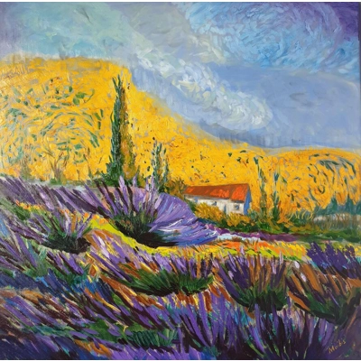 Lavanders in Provence