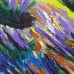 Lavanders in Provence