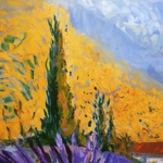 Lavanders in Provence