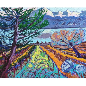 Vineyards in autumn