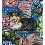 Mini australian sheperd in a festive bedroom