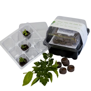 Culinary Herb Garden Kit