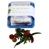 Salsa Garden Kit