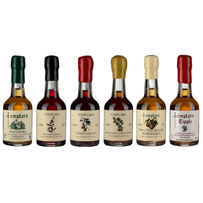 Templar's 6 Miniatures