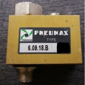 21002130009 Function Valve