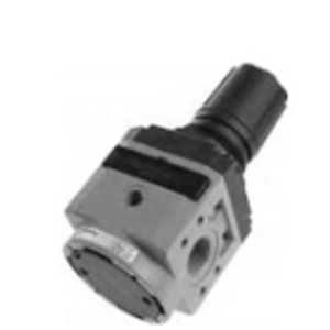 6D0240502 Pressure Regulator