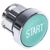 ZB4BA333 Schneider Push Button Head Green, Start