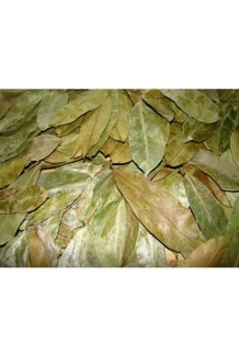 Soursop Leaves