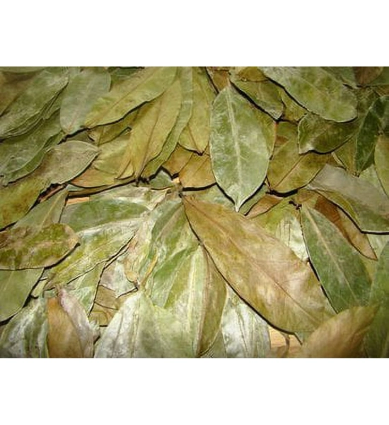 Soursop Leaves