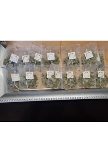 Soursop Teabags