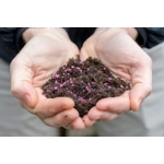 Florifeed N-P-K 17-8-8 Slow Release Fertiliser