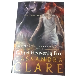 The Mortal Instruments 6: City of Heavenly Fire by Cassandra Clare