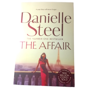 The Affair by Danielle Steel (Paperback, 2022)