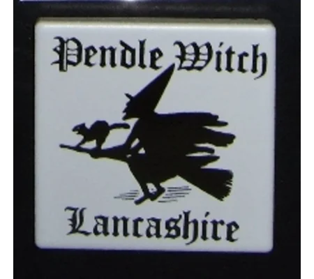 Pottery Fridge Magnet