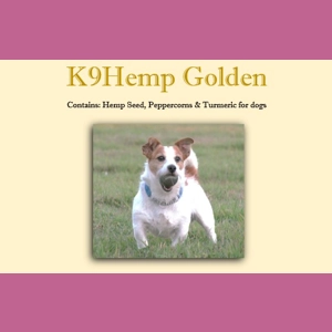 K9 Golden