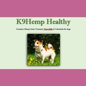 K9 Healthy