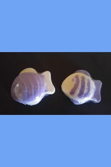 2PC FISH BATH BOMB..