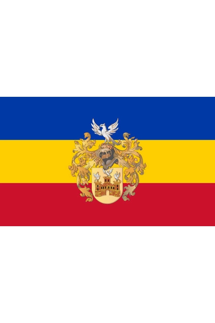 NAVVF Valkenburg aan de Geul Flag - Shipped US