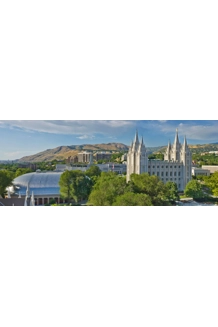 2025 NAVVF Reunion..