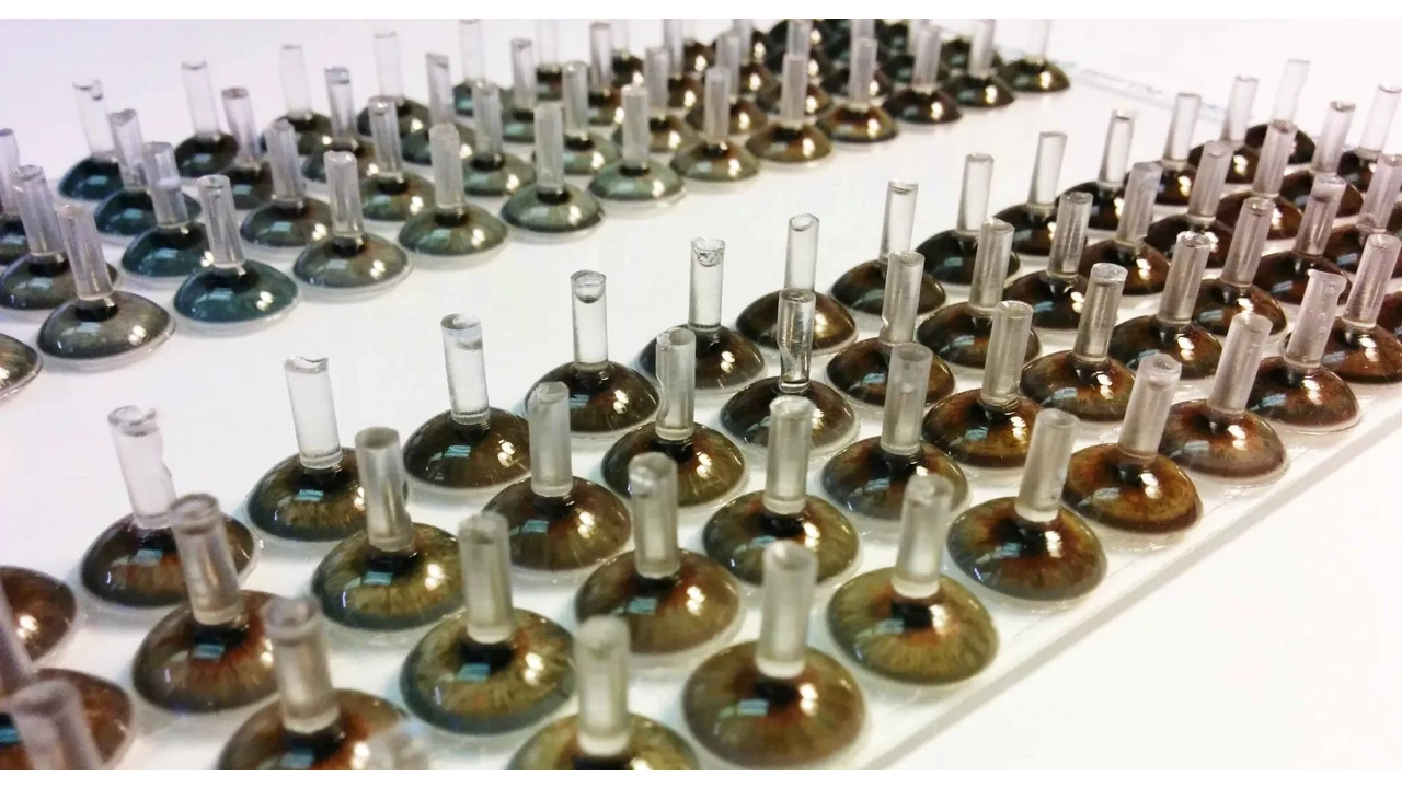 Green & Hazel Irises