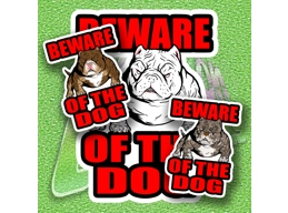 BWOTD Pocket Bully
