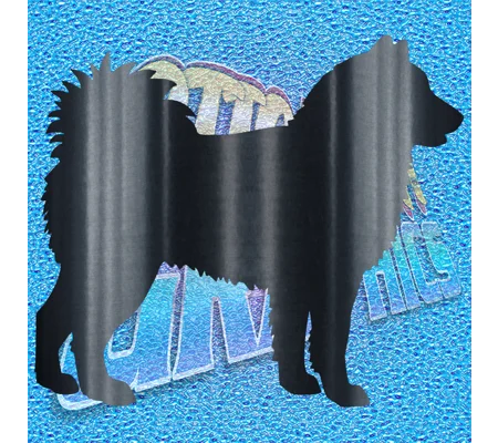 Akita