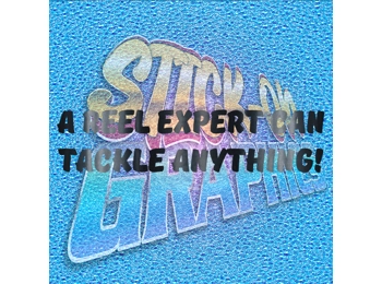 A Reel Expert Can Tackle Anything