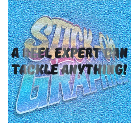 A Reel Expert Can Tackle Anything