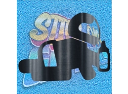 Baby Stig On Board