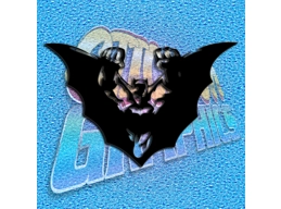Batman Fly