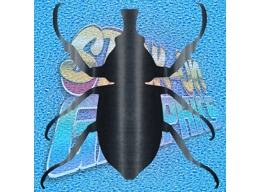 Beetle 001