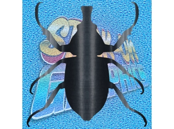 Beetle 001