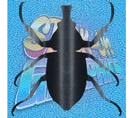 Beetle 001