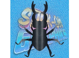 Beetle 002
