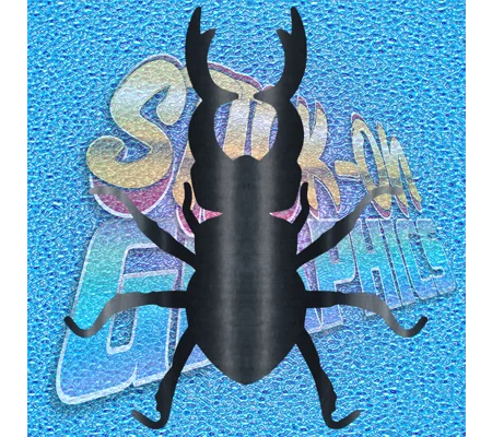 Beetle 002