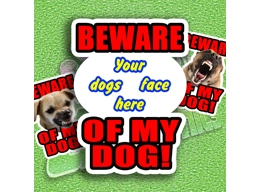 Beware Of My Dog