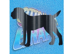 Border Terrier 003