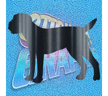 Border Terrier 003