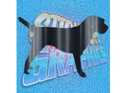 Border Terrier 004