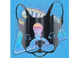 Boston Terrier 004
