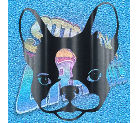 Boston Terrier 004