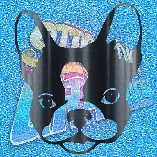 Boston Terrier 004