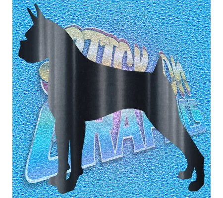 Boxer 010