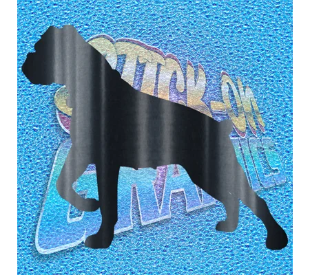Boxer 002 b
