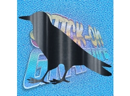 Bird 003