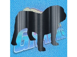British Bulldog 018
