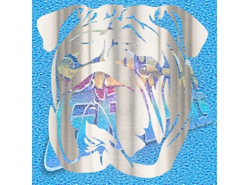 British Bulldog 003 Neg